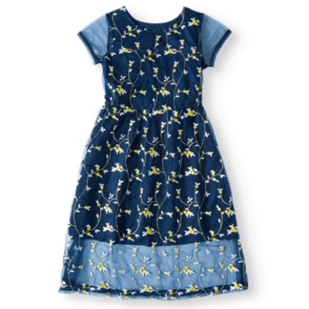 EmbroideredMesh Dress LittleGirls,BigGirls,BigPlus